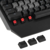 Клавиатура проводная A4Tech Bloody B865N